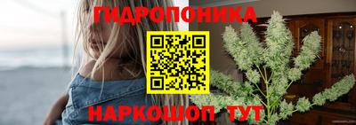 мяу мяу мука Кимры