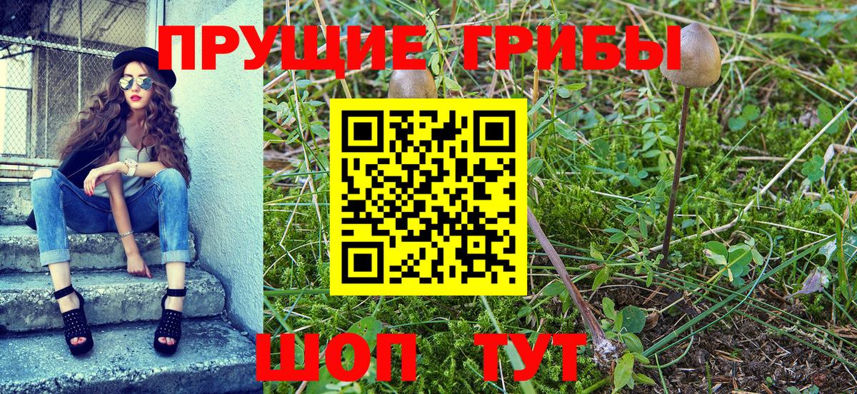 Галлюциногенные грибы Cubensis  Галлюциногенные грибы мицелий  Вход с VPN  Комсомольск-на-Амуре 
