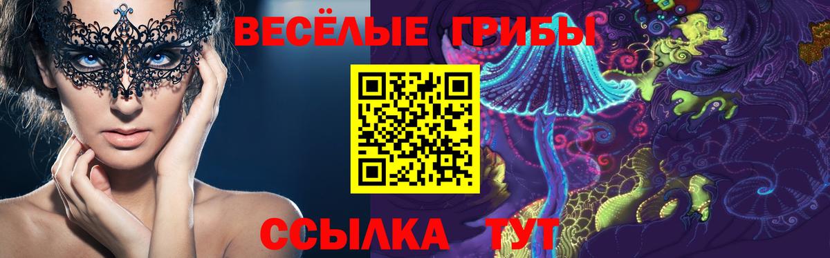 Галлюциногенные грибы Magic Shrooms Комсомольск-на-Амуре
